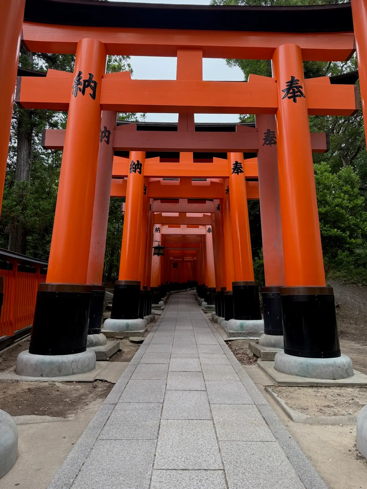 Rows of orange torii gates at Fushimi Inari.