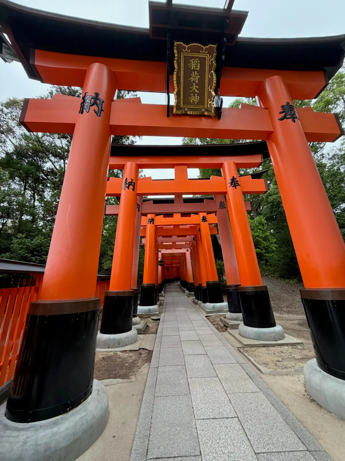 Orange torii gate pathway at Fushimi Inari.