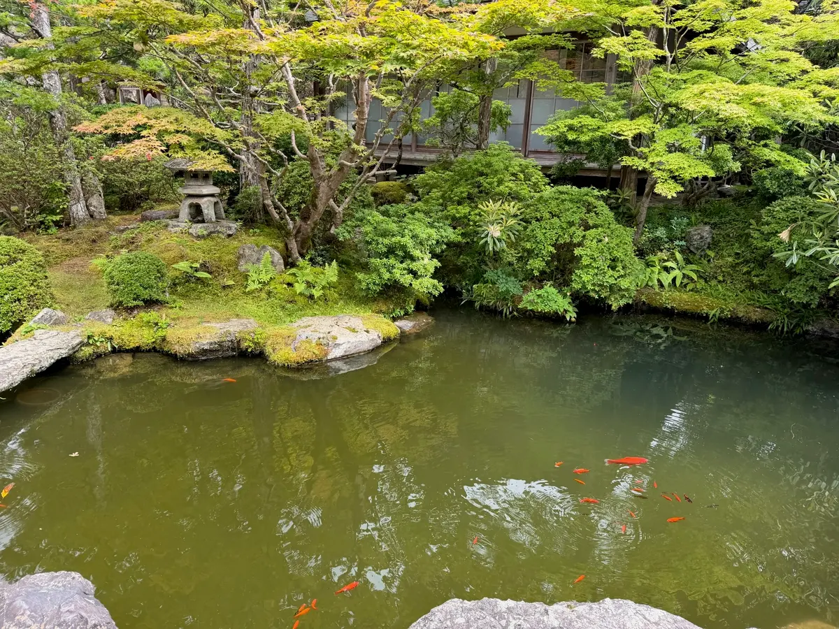 Garden pond with koi at the Koyasan temple lodging.