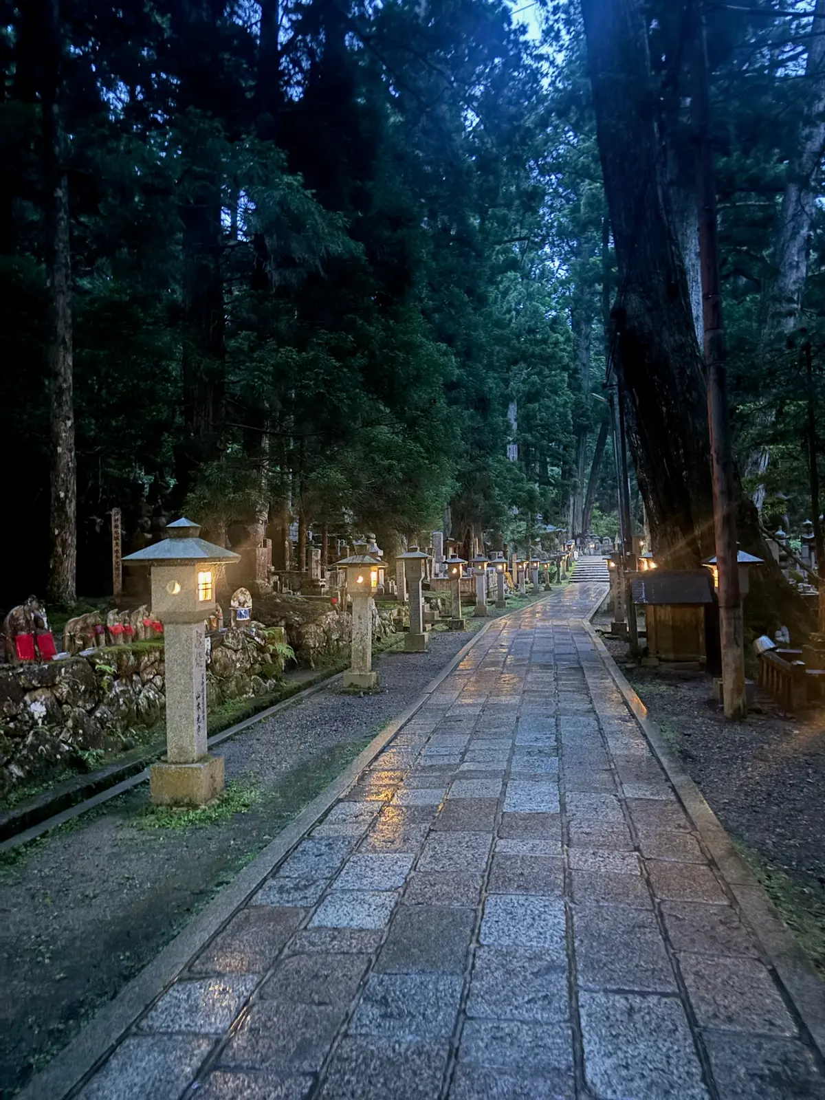 Lantern-lit path through Okunoin Cemetery at dusk.