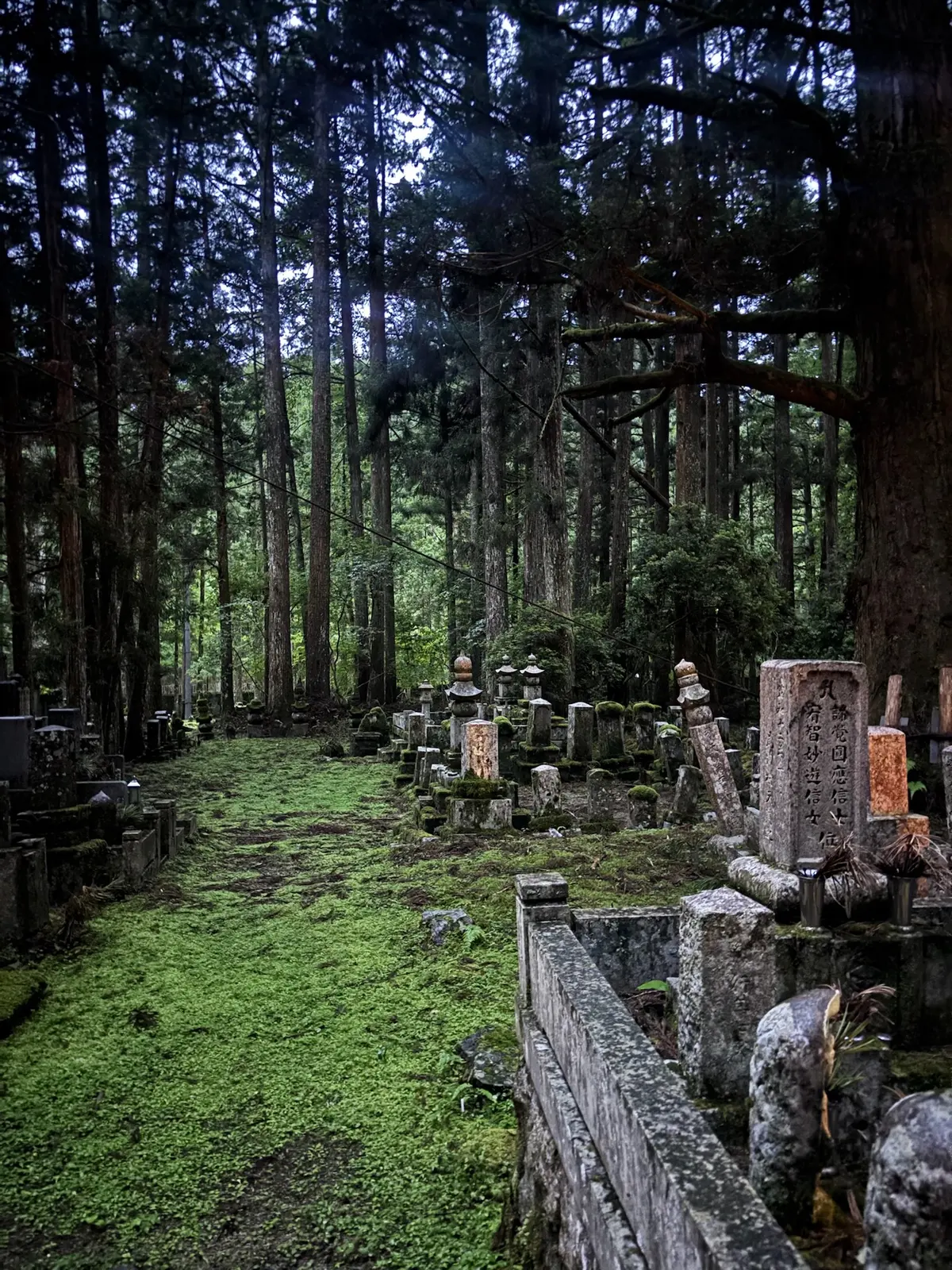 Mossy gravestones in Okunoin Cemetery.